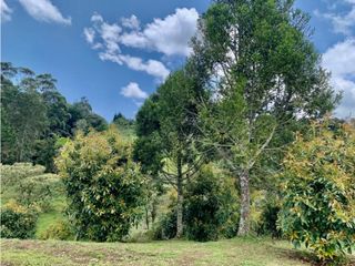 Lote en venta en Rionegro sector Vereda El Tablazo