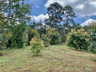 Lote en venta en Rionegro sector Vereda El Tablazo