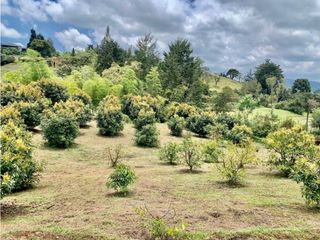 Lote en venta en Rionegro sector Vereda El Tablazo