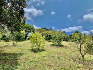 Lote en venta en Rionegro sector Vereda El Tablazo