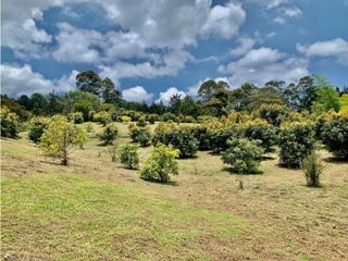 Lote en venta en Rionegro sector Vereda El Tablazo