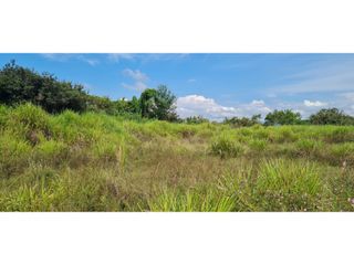 Foto 2 de Venta Neiva Lote Agro - Industrial