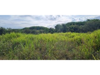 Foto 5 de Venta Neiva Lote Agro - Industrial