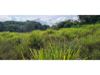 Foto 9 de Venta Neiva Lote Agro - Industrial