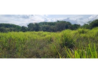 Foto 3 de Venta Neiva Lote Agro - Industrial