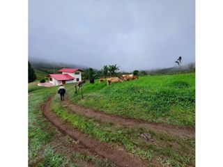 Foto 4 de Se vende finca en Altos de Zabaletas