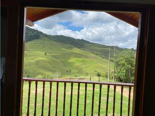 Foto 7 de Se vende finca en Altos de Zabaletas