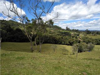 Lote ideal para Ecohotel   sector de Pantanillo/Envigado