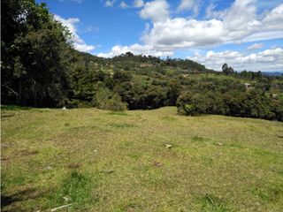 Lote ideal para Ecohotel   sector de Pantanillo/Envigado