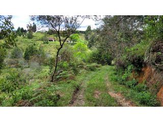 Foto 2 de Venta de Terreno ideal para subdividir en parcelas en Guarne