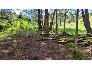 Foto 29 de Venta de Terreno ideal para subdividir en parcelas en Guarne