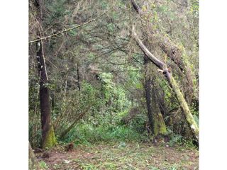 Foto 26 de Venta de Terreno ideal para subdividir en parcelas en Guarne