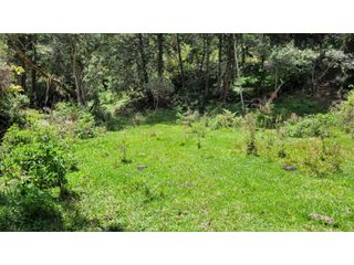 Foto 25 de Venta de Terreno ideal para subdividir en parcelas en Guarne