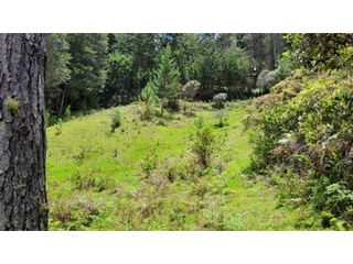 Foto 15 de Venta de Terreno ideal para subdividir en parcelas en Guarne