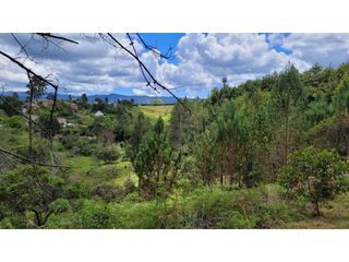 Foto 4 de Venta de Terreno ideal para subdividir en parcelas en Guarne