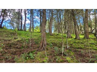 Foto 3 de Venta de Terreno ideal para subdividir en parcelas en Guarne