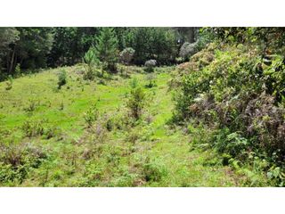 Foto 14 de Venta de Terreno ideal para subdividir en parcelas en Guarne