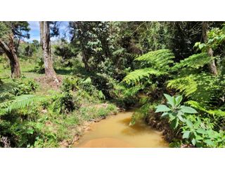 Foto 21 de Venta de Terreno ideal para subdividir en parcelas en Guarne