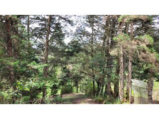 Foto 23 de Venta de Terreno ideal para subdividir en parcelas en Guarne