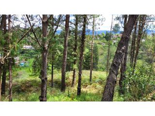 Foto 6 de Venta de Terreno ideal para subdividir en parcelas en Guarne