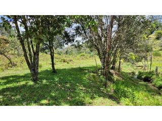Foto 27 de Venta de Terreno ideal para subdividir en parcelas en Guarne