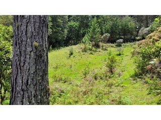 Foto 13 de Venta de Terreno ideal para subdividir en parcelas en Guarne
