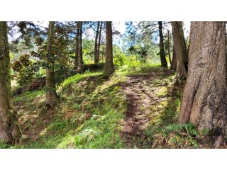 Foto 30 de Venta de Terreno ideal para subdividir en parcelas en Guarne