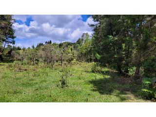 Foto 19 de Venta de Terreno ideal para subdividir en parcelas en Guarne