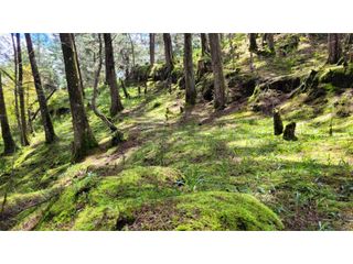 Foto 12 de Venta de Terreno ideal para subdividir en parcelas en Guarne