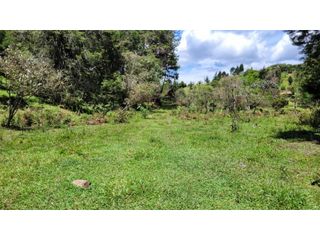Foto 20 de Venta de Terreno ideal para subdividir en parcelas en Guarne