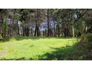 Foto 7 de Venta de Terreno ideal para subdividir en parcelas en Guarne