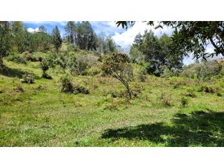 Foto 28 de Venta de Terreno ideal para subdividir en parcelas en Guarne