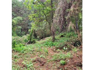 Foto 24 de Venta de Terreno ideal para subdividir en parcelas en Guarne