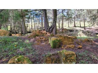 Foto 8 de Venta de Terreno ideal para subdividir en parcelas en Guarne