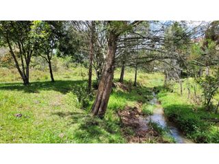 Foto 17 de Venta de Terreno ideal para subdividir en parcelas en Guarne