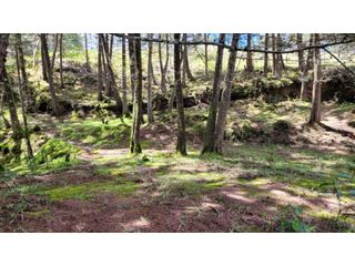 Foto 10 de Venta de Terreno ideal para subdividir en parcelas en Guarne