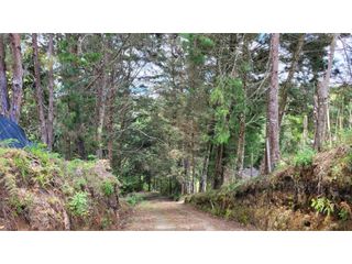 Foto 22 de Venta de Terreno ideal para subdividir en parcelas en Guarne