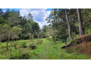 Foto 1 de Venta de Terreno ideal para subdividir en parcelas en Guarne