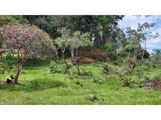 Foto 18 de Venta de Terreno ideal para subdividir en parcelas en Guarne