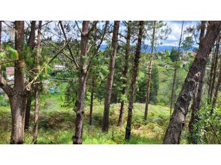 Foto 5 de Venta de Terreno ideal para subdividir en parcelas en Guarne