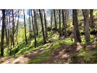 Foto 11 de Venta de Terreno ideal para subdividir en parcelas en Guarne
