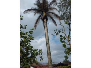 Foto 11 de Venta espectacular lote La Tablaza, La Estrella
