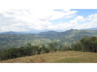 Foto 10 de Maat vende Lote campestre, Salitre Blanco L26 9.380 m2 $325 Millones.