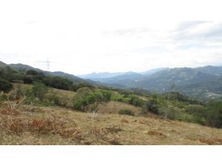 Foto 13 de Maat vende Lote campestre, Salitre Blanco L26 9.380 m2 $325 Millones.