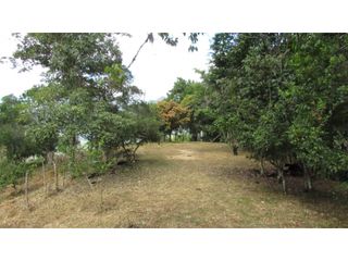 Foto 15 de Maat vende Lote campestre, Salitre Blanco L26 9.380 m2 $325 Millones.