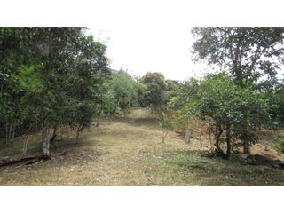 Foto 4 de Maat vende Lote campestre, Salitre Blanco L26 9.380 m2 $325 Millones.