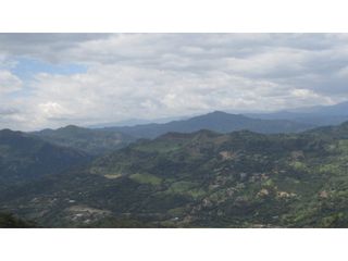 Foto 5 de Maat vende Lote campestre, Salitre Blanco L26 9.380 m2 $325 Millones.