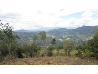 Foto 6 de Maat vende Lote campestre, Salitre Blanco L26 9.380 m2 $325 Millones.