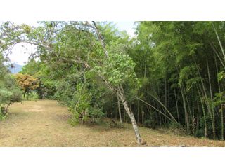 Foto 9 de Maat vende Lote campestre, Salitre Blanco L26 9.380 m2 $325 Millones.