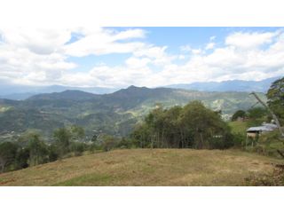 Foto 1 de Maat vende Lote campestre, Salitre Blanco L26 9.380 m2 $325 Millones.